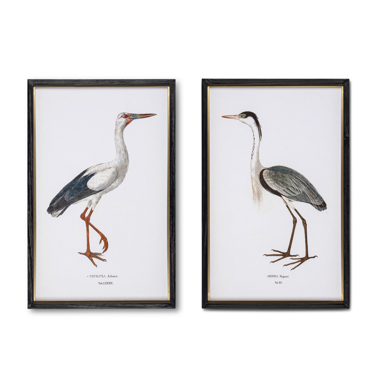 Coastal Heron Framed Print, 2 Assorted Styles