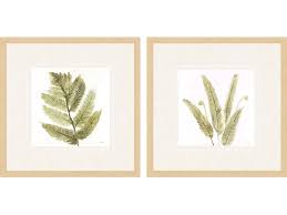 Forest Fern S/2