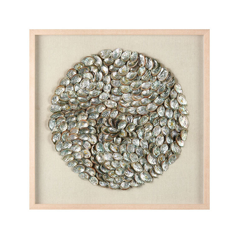 Natural Treasures-Oyster Shell : 36W x 36H